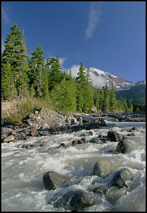 Mount Rainier and Stream